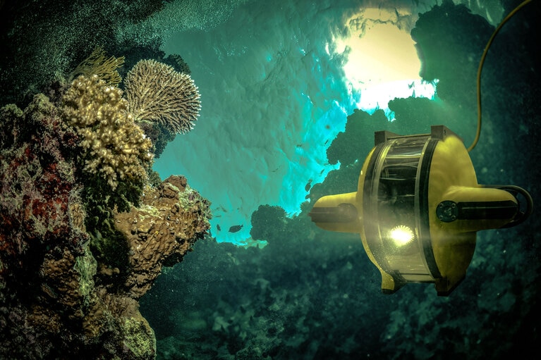 Go to the innovation page