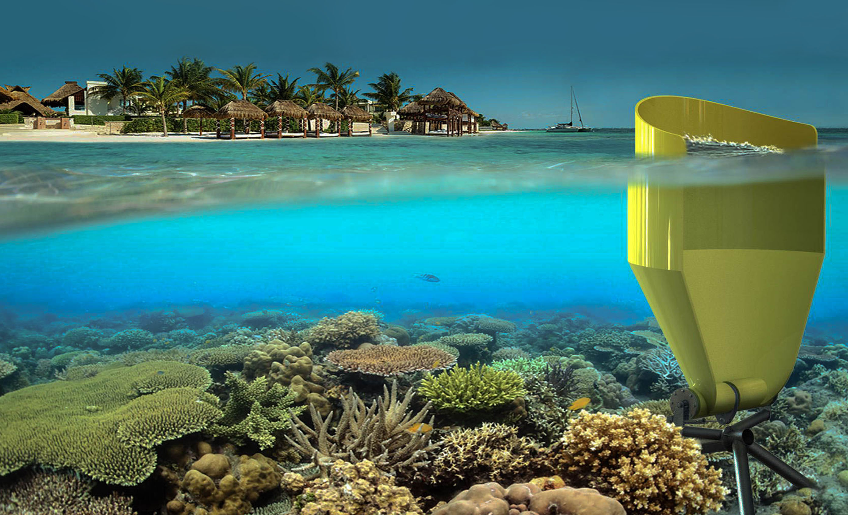 Case study | Accelerating coral reef growth using renewable energy