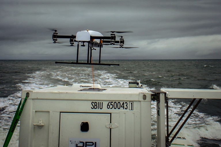 Dragonfly UAV image
