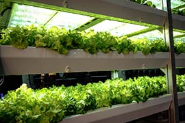 Go to the Innovation page