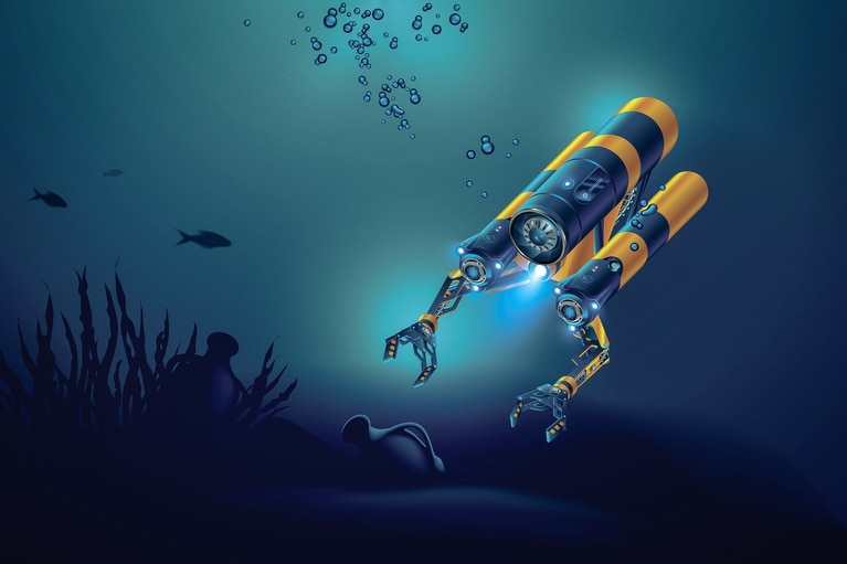 ROV image